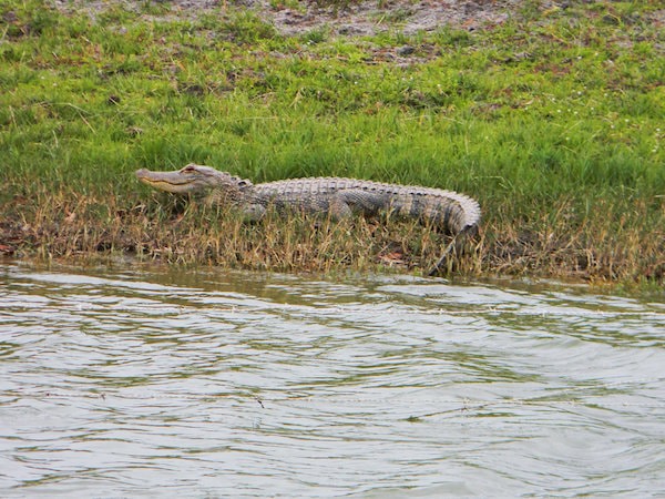 Conference Okeechobee Excursion