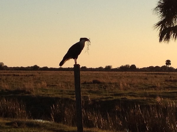 Conference Okeechobee Excursion