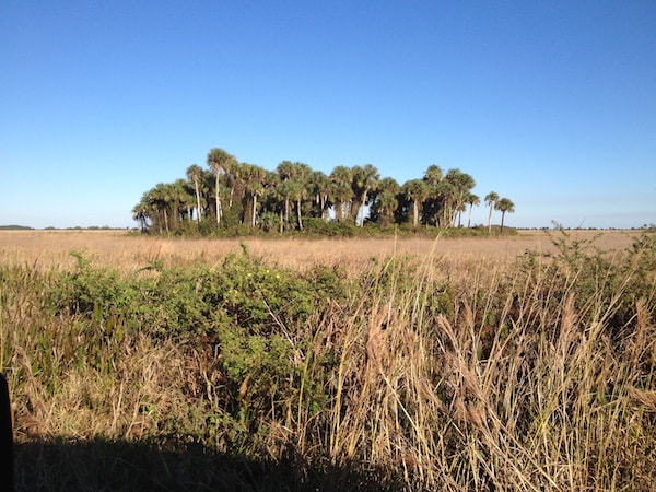 Conference Okeechobee Excursion