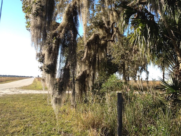 Conference Okeechobee Excursion